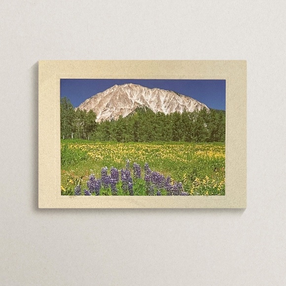 NWT Just A Moment In Time Colorado Mountain Greeting Cards - Picture 6 of 16